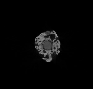 spent_sparkler_axial