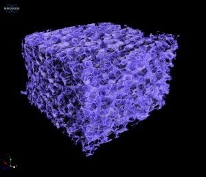insulation_2_r5__rec_tra0000