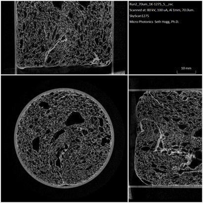 This image has an empty alt attribute; its file name is 1220C.jpg