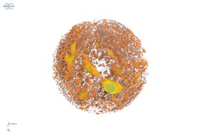 This image has an empty alt attribute; its file name is 1220F.jpg